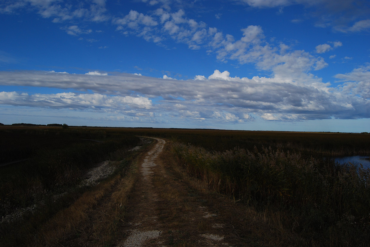 湿地帯(Oak Hammock Marsh) 1