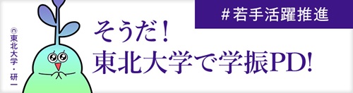 -学術振興会特別研究員バナー